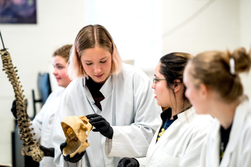 Science and Math students working in a lab