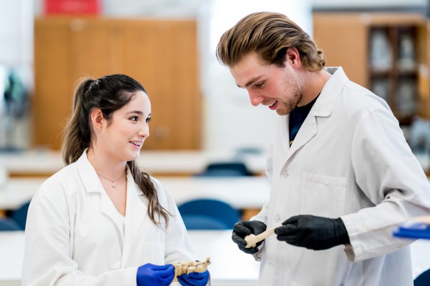 Science and Math students working in a lab