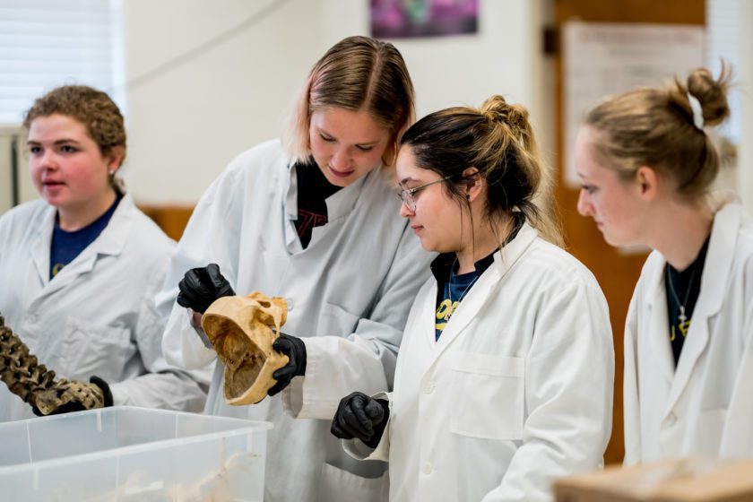 Science and Math students working in a lab