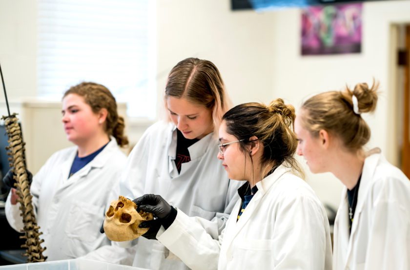 Science and Math students working in a lab