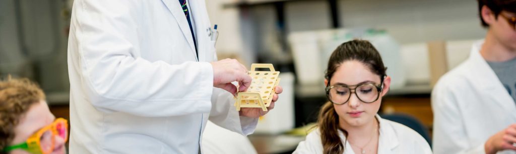 Students working in lab