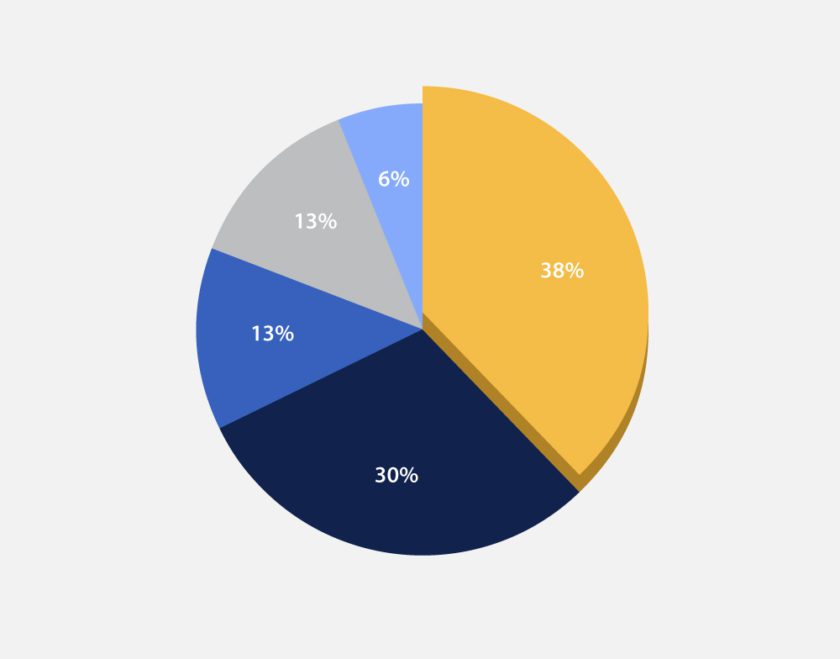 Graduation-Pie-Chart